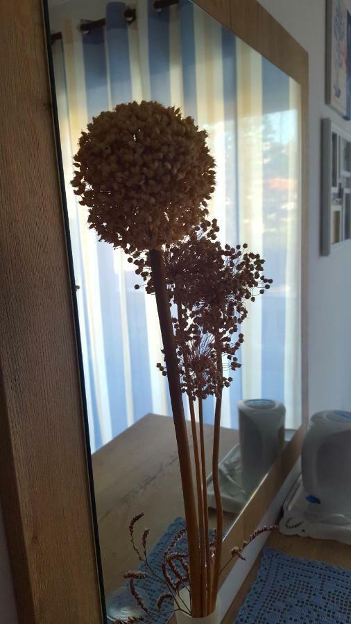 Banjol Guesthouse Matusan'S Place מראה חיצוני תמונה
